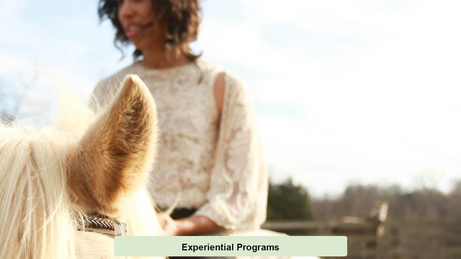 Experiential Treatment Methods