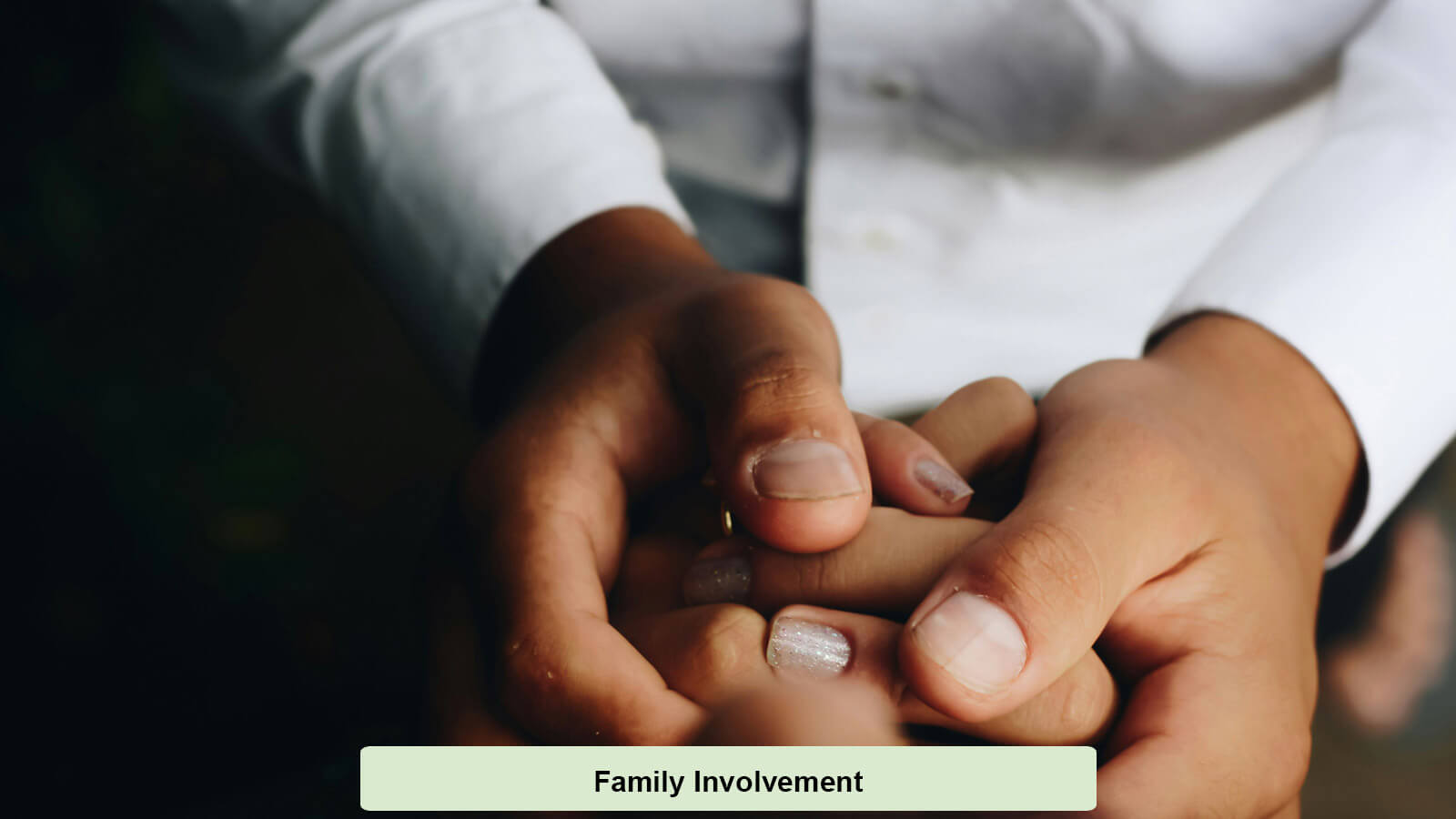 Family Involvement Treatment Methods