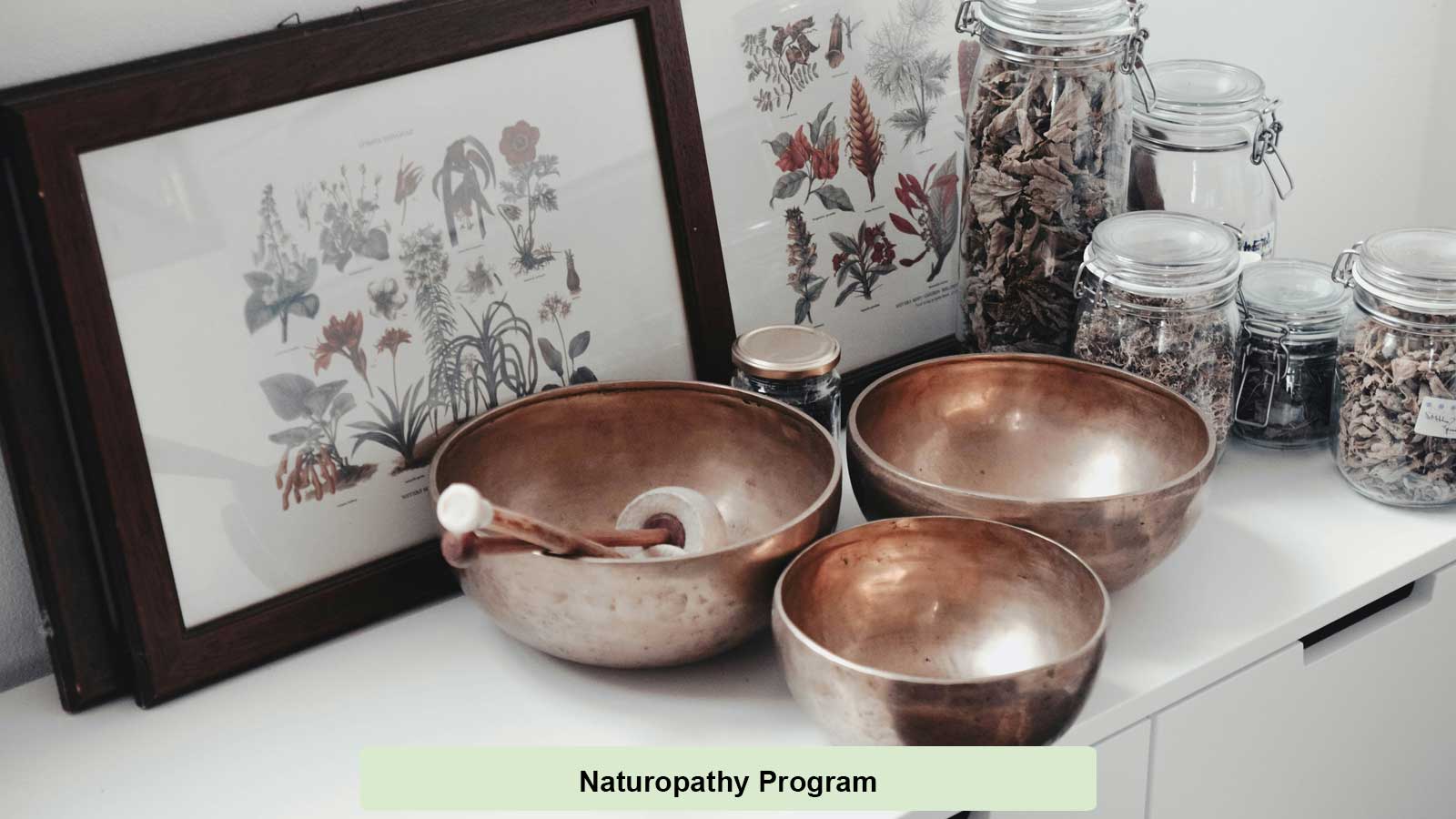 Naturopathy Treatment Methods