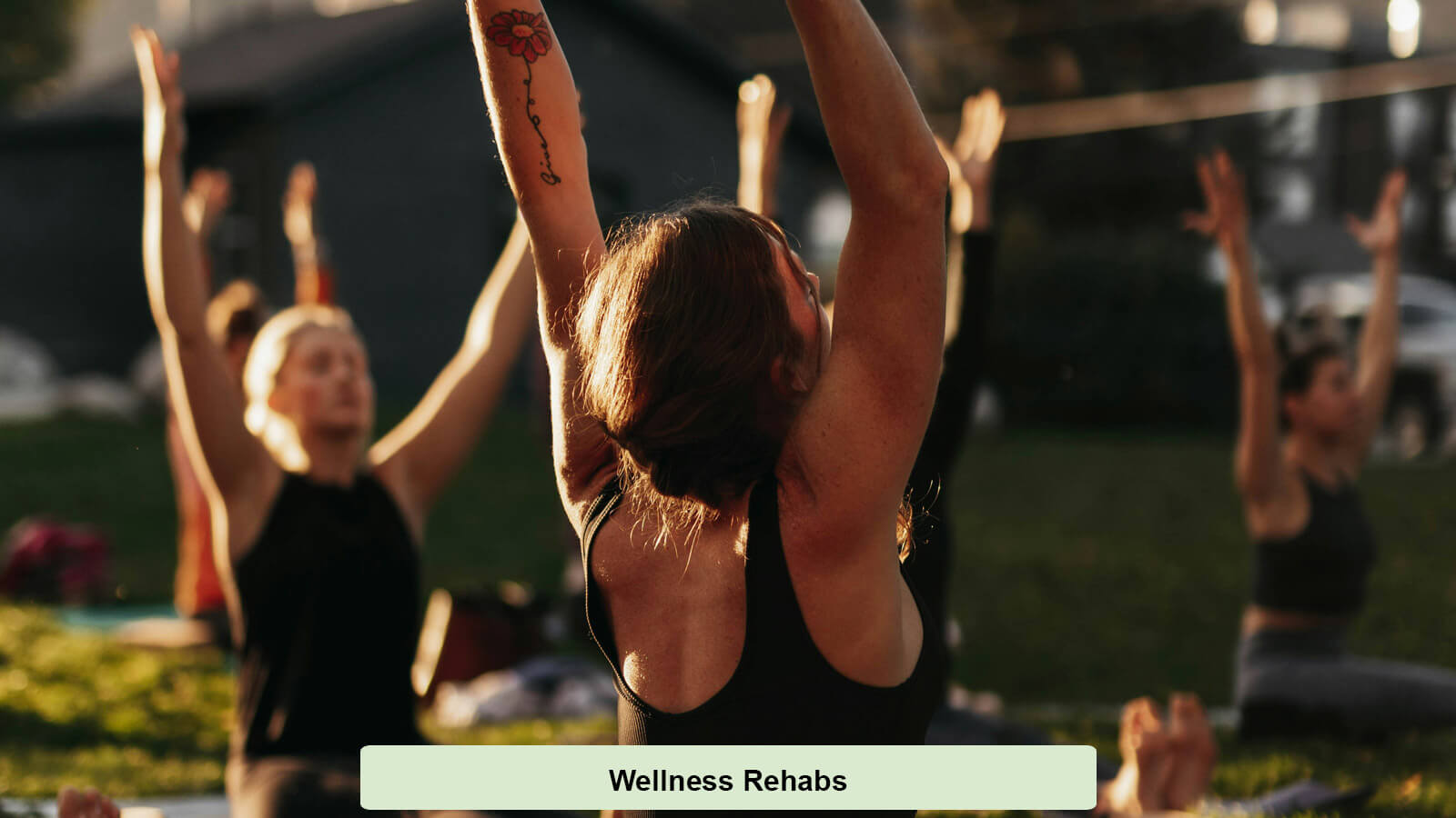 Wellness Treatment Methods