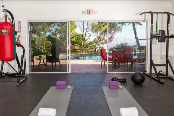 90210 Recovery Gallery