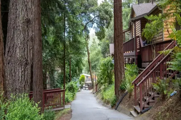 The Camp Recovery Center Gallery 2