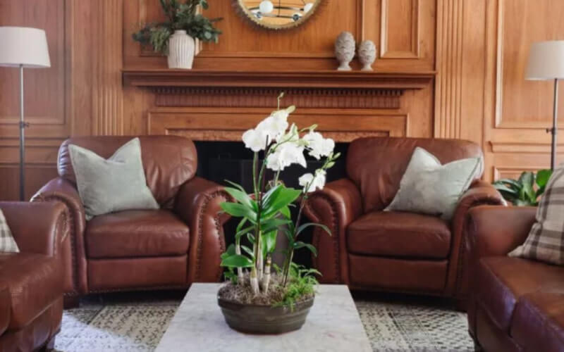 The Guest House Ocala Gallery